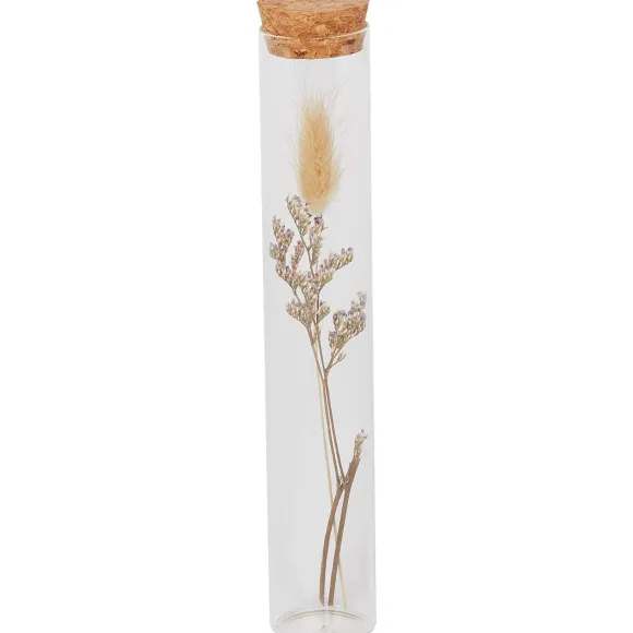 Buisje Met Droogbloemen