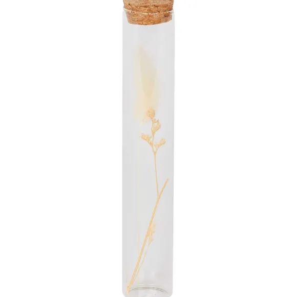 Buisje Met Droogbloemen