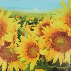 Garden Collection Tuindoek