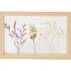 Home Accents Fotolijst Met Droogbloemen
