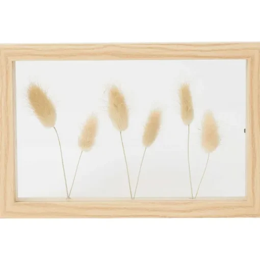 Home Accents Fotolijst Met Droogbloemen