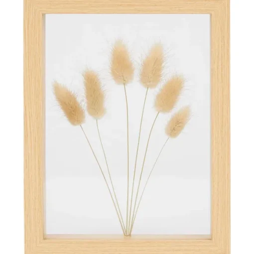 Home Accents Fotolijst Met Droogbloemen
