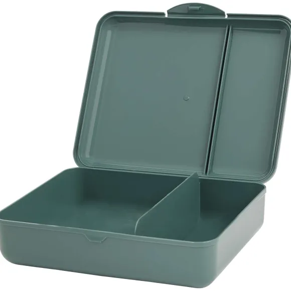 Lunchbox Met Vakken