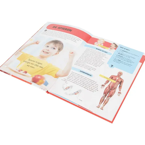 Ontdekkingsboek