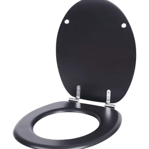 Toiletbril