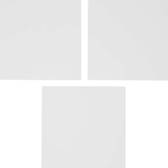 Van Bleiswijck Schilderspanelen