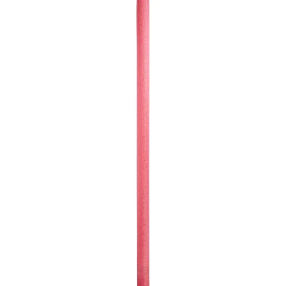 Zwemnoodle